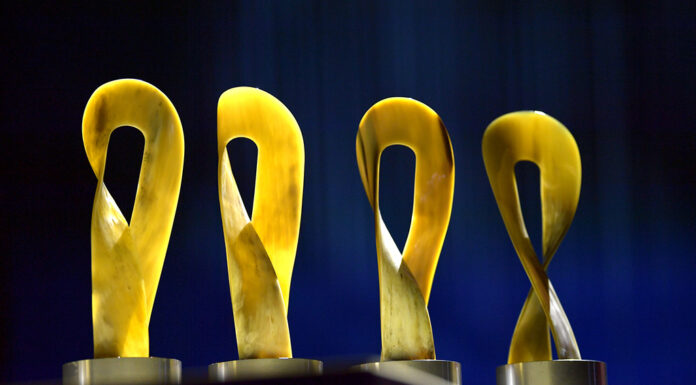 NÖ Kulturpreise 2025: Kreativität und Vielfalt im Fokus