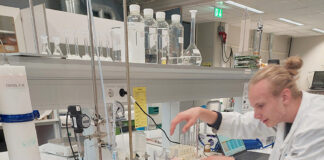 Yspertaler HLUW – Auslandspraktika boomen