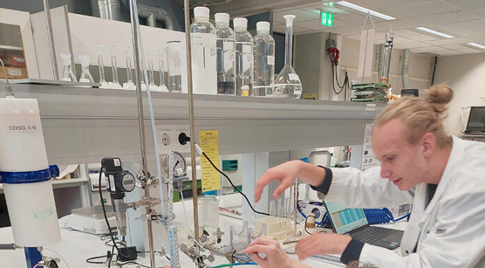 Yspertaler HLUW – Auslandspraktika boomen