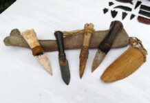 Archäologie im Hof im Stadtmuseum St. Pölten