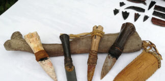 Archäologie im Hof im Stadtmuseum St. Pölten