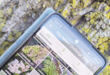 City Nature Challenge 2025