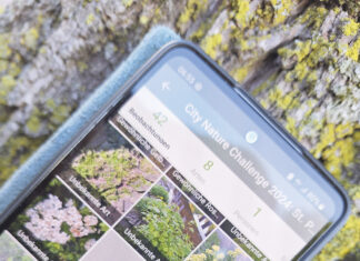 City Nature Challenge 2025