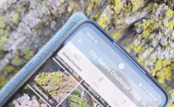 City Nature Challenge 2025