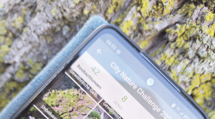 City Nature Challenge 2025