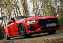 Ungezähmt und unvergleichlich