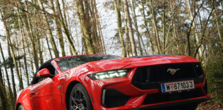 Ungezähmt und unvergleichlich