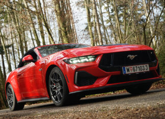 Ungezähmt und unvergleichlich