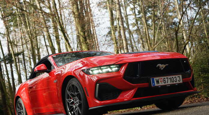 Ungezähmt und unvergleichlich