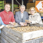 Größte Nussknackerei Österreichs ist in Bergland