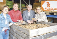 Größte Nussknackerei Österreichs ist in Bergland