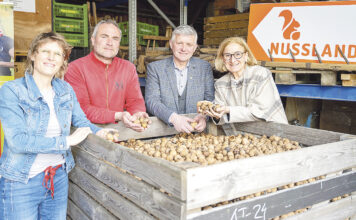 Größte Nussknackerei Österreichs ist in Bergland