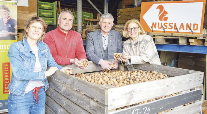 Größte Nussknackerei Österreichs ist in Bergland