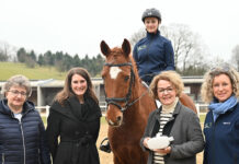 Innovative Pferdebrille an Fachschule Tullnerbach im Praxiseinsatz