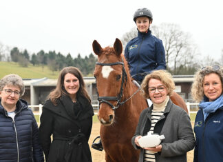 Innovative Pferdebrille an Fachschule Tullnerbach im Praxiseinsatz