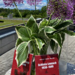 Lannach-Blumen