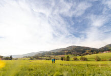 Saisonauftakt am Lebensweg: Frühling lädt zum Wandern ein