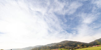 Saisonauftakt am Lebensweg: Frühling lädt zum Wandern ein