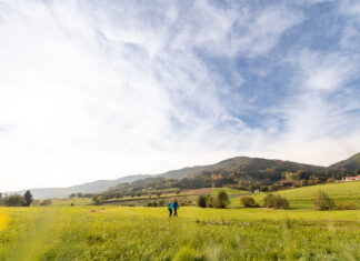 Saisonauftakt am Lebensweg: Frühling lädt zum Wandern ein