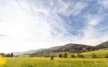 Saisonauftakt am Lebensweg: Frühling lädt zum Wandern ein
