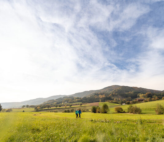 Saisonauftakt am Lebensweg: Frühling lädt zum Wandern ein
