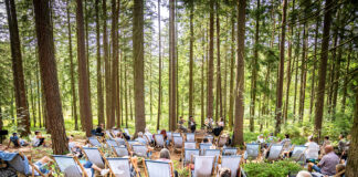 Frühlingserwachen im Festival-Land