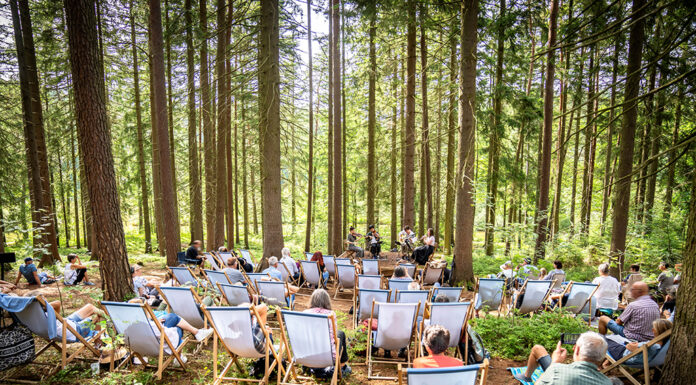 Frühlingserwachen im Festival-Land