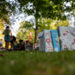 Ferienbücherei im Hammerpark in St. Pölten startet wieder