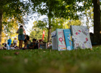 Ferienbücherei im Hammerpark in St. Pölten startet wieder