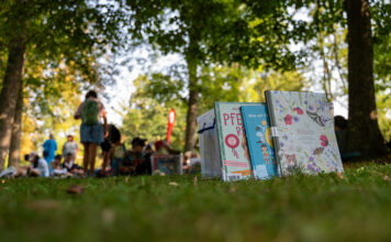 Ferienbücherei im Hammerpark in St. Pölten startet wieder