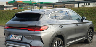 Teilgrüner Reichweitenjäger