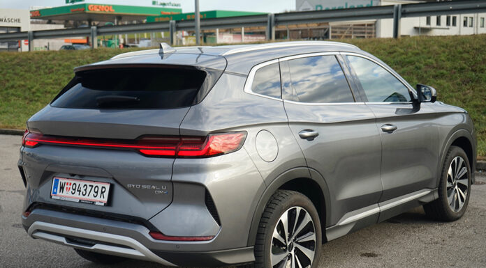 Teilgrüner Reichweitenjäger