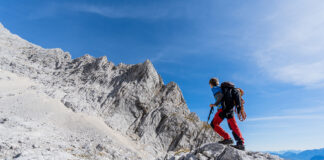 Meinungsaustausch zum Thema Schöpfung und Evolution