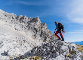 Meinungsaustausch zum Thema Schöpfung und Evolution
