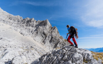 Meinungsaustausch zum Thema Schöpfung und Evolution