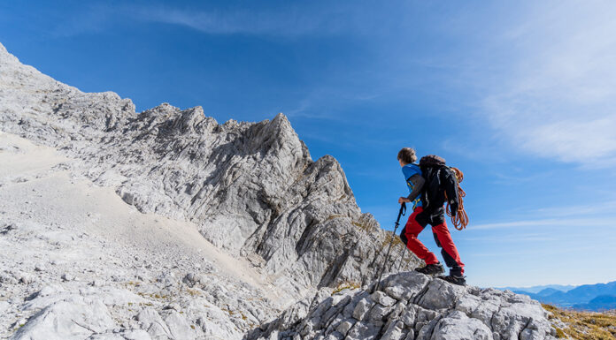 Meinungsaustausch zum Thema Schöpfung und Evolution