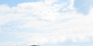 Heurige Erdäpfel ab sofort erhältlich