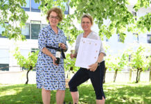 NÖ Weinprämierung: Landessieg und 31-mal Gold für NÖ Landesweine