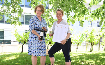 NÖ Weinprämierung: Landessieg und 31-mal Gold für NÖ Landesweine