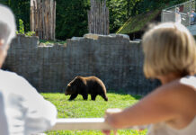 Neue Erlebniswelt für Tierpark Stadt Haag