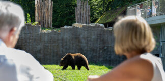 Neue Erlebniswelt für Tierpark Stadt Haag