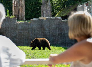 Neue Erlebniswelt für Tierpark Stadt Haag
