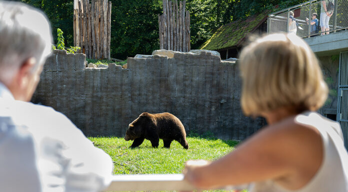 Neue Erlebniswelt für Tierpark Stadt Haag