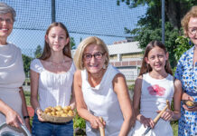 „So schmeckt Niederösterreich“-Erdäpfelpyramide: Seit zehn Jahren große Ernte auf kleiner Fläche