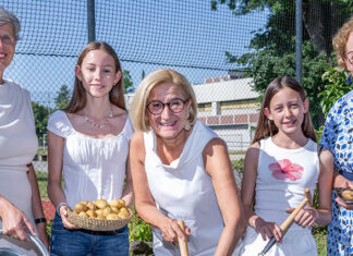 „So schmeckt Niederösterreich“-Erdäpfelpyramide: Seit zehn Jahren große Ernte auf kleiner Fläche