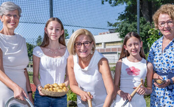 „So schmeckt Niederösterreich“-Erdäpfelpyramide: Seit zehn Jahren große Ernte auf kleiner Fläche