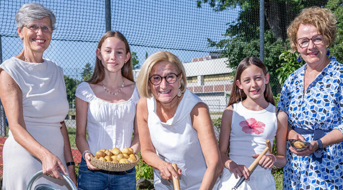 „So schmeckt Niederösterreich“-Erdäpfelpyramide: Seit zehn Jahren große Ernte auf kleiner Fläche