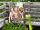 Buntes Ferienprogramm für die ganz Familie in den „Natur im Garten“ Schaugärten
