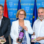 Amethyst Welt Maissau wird ausgebaut