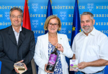 Amethyst Welt Maissau wird ausgebaut